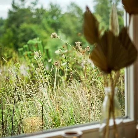 Hotel Karczma Viking Stara Kiszewa Zewnętrze zdjęcie